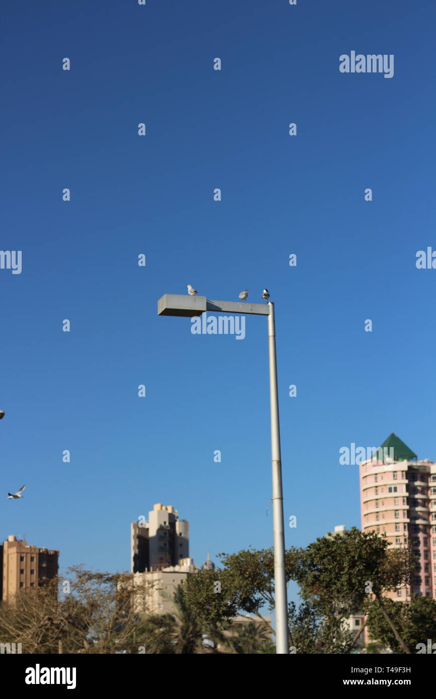 Kuwait la bellezza della natura di giorno e di notte Foto Stock