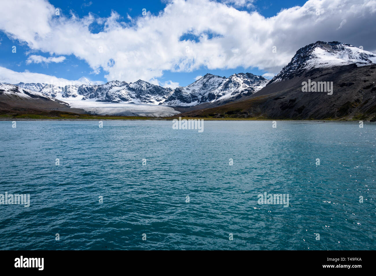 Bella giornata andando verso St Andrews Bay con la gamma della montagna e alimentazione del ghiacciaio nell'oceano all'estremità lontana, Georgia del Sud Foto Stock