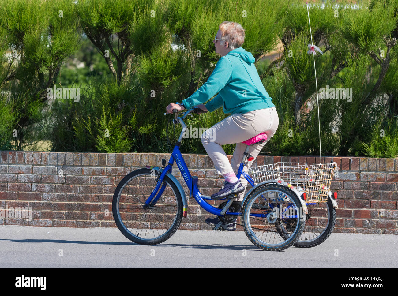 Donna di mezza età in sella a una Viking Trike triciclo lungo un percorso nel Regno Unito. Foto Stock