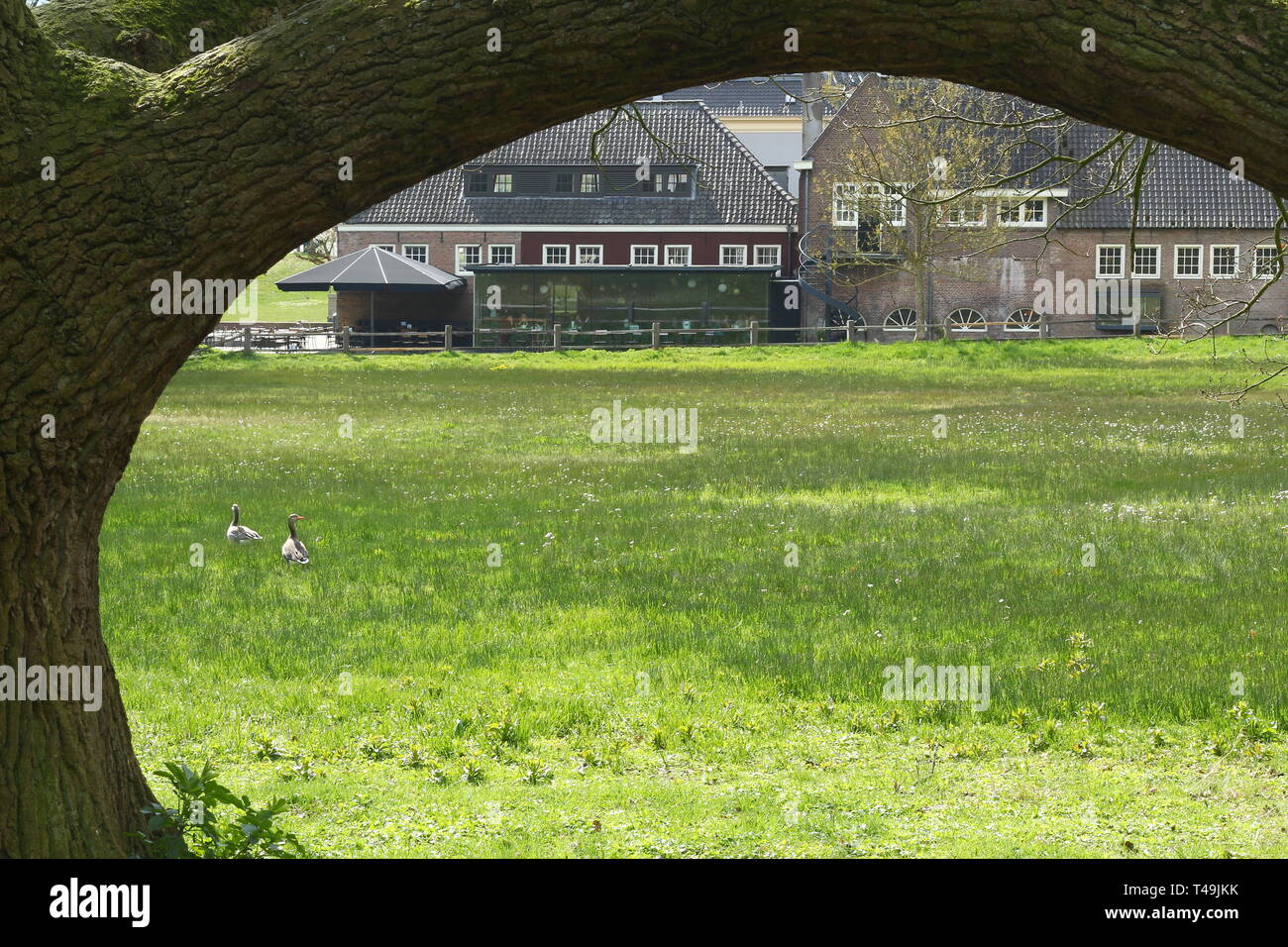 Arnhem, Paesi Bassi - 13 Aprile 2019: vista presso l'antico mulino ad acqua in Olandese Parco Sonsbeek, Arnhem. Foto Stock