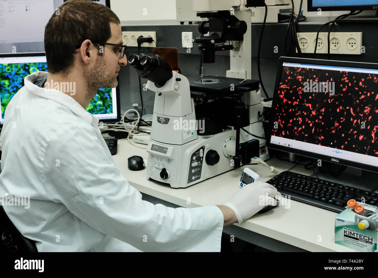 Tel Aviv, Israele. Il 15 aprile, 2019. Tel Aviv University ricercatori hanno stampato il primo al mondo 3D vascolarizzato engineered cuore comprese le cellule, i vasi sanguigni, ventricoli e camere con un paziente cellule proprie e di materiali biologici. Fino ad ora, gli scienziati in medicina rigenerativa hanno avuto successo nella stampa dei soli tessuti semplici senza vasi sanguigni. Gli scienziati presso il laboratorio del prof. Tal Dvir rivendicazione studio spiana la strada ad un futuro in cui i pazienti non dovranno più attendere per trapianti né affrontare gli ostacoli di rigetto. Credito: Nir Alon/Alamy Live News Foto Stock