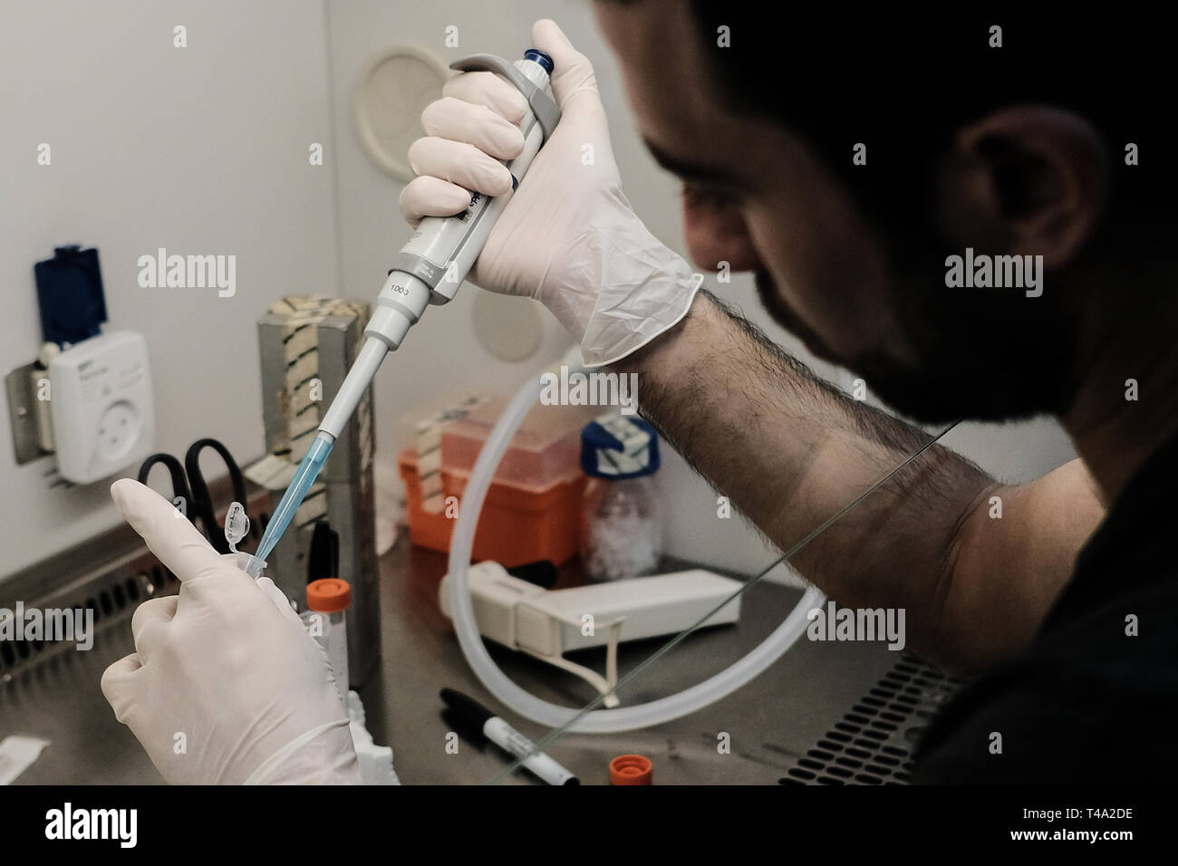 Tel Aviv, Israele. Il 15 aprile, 2019. Tel Aviv University ricercatori hanno stampato il primo al mondo 3D vascolarizzato engineered cuore comprese le cellule, i vasi sanguigni, ventricoli e camere con un paziente cellule proprie e di materiali biologici. Fino ad ora, gli scienziati in medicina rigenerativa hanno avuto successo nella stampa dei soli tessuti semplici senza vasi sanguigni. Gli scienziati presso il laboratorio del prof. Tal Dvir rivendicazione studio spiana la strada ad un futuro in cui i pazienti non dovranno più attendere per trapianti né affrontare gli ostacoli di rigetto. Credito: Nir Alon/Alamy Live News Foto Stock