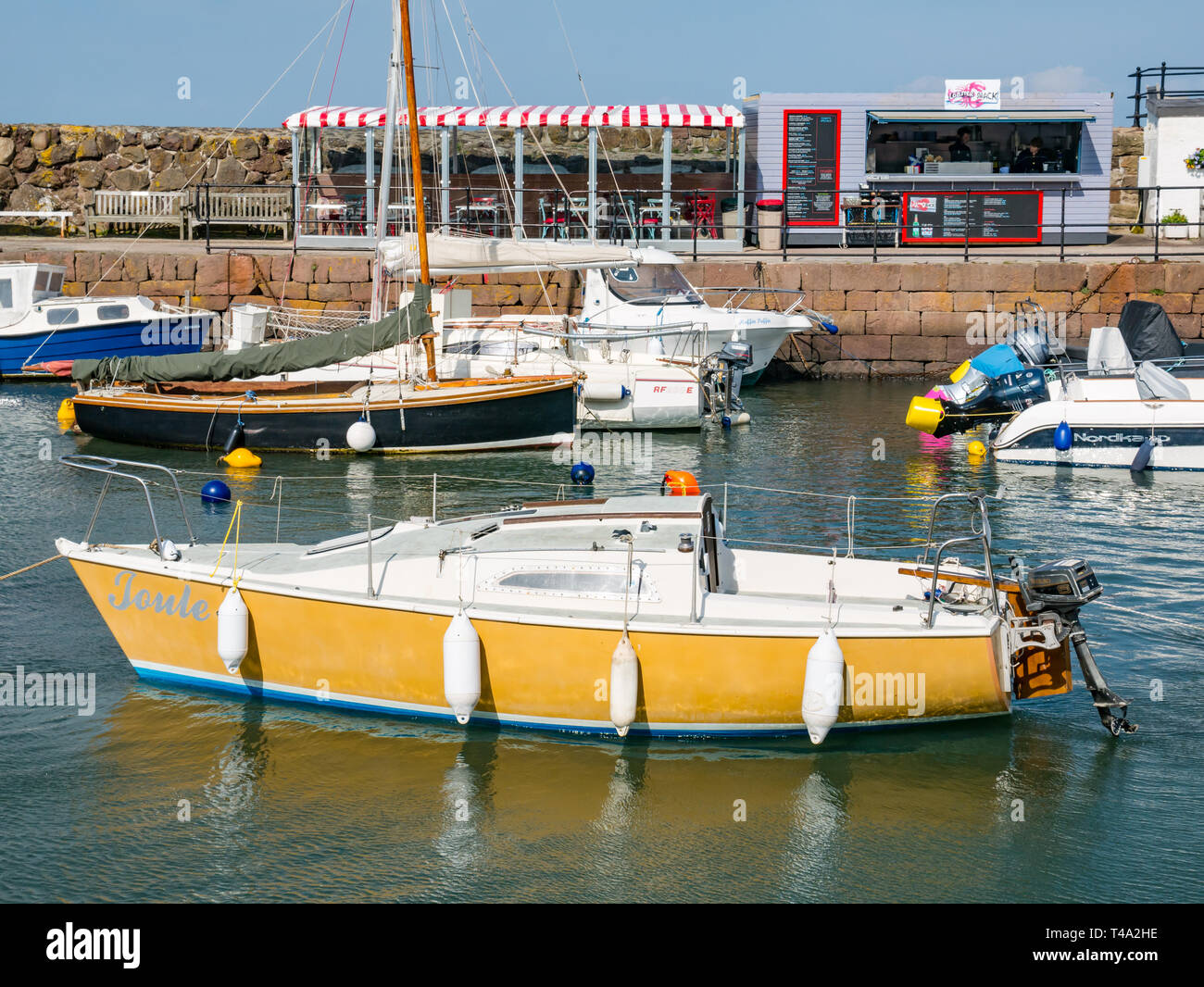 A North Berwick, East Lothian, Scozia, Regno Unito, 15 aprile 2019. Regno Unito: Meteo una fredda giornata di vento nella cittadina balneare. Le imbarcazioni sono restituiti al porto e il lato del porto Lobster shack riapre Foto Stock