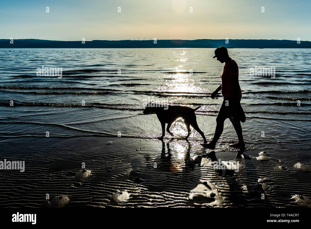 Donna cane a camminare sulla spiaggia scozzese Foto Stock