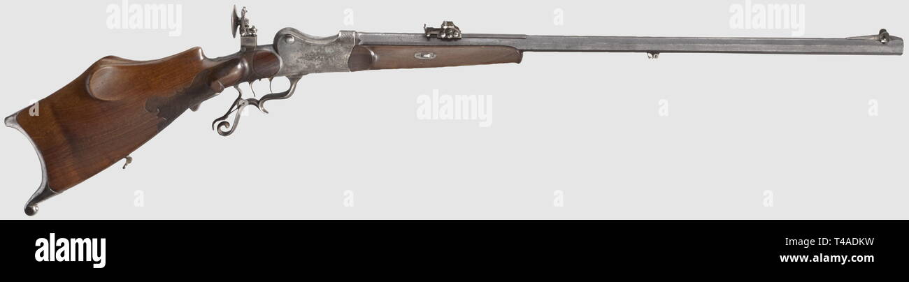Civile bracci lunghi, i moderni sistemi di magazzino pieno di fucile, Waffenfabrik Peterlongo, Innsbruck circa 1900, calibro 8,15 x 46 R, numero 211, Additional-Rights-Clearance-Info-Not-Available Foto Stock Civile bracci lunghi, i moderni sistemi di magazzino pieno di fucile, Waffenfabrik Peterlongo, Innsbruck circa 1900, calibro 8,15 x 46 R, numero 211, Additional-Rights-Clearance-Info-Not-Available Foto Stock