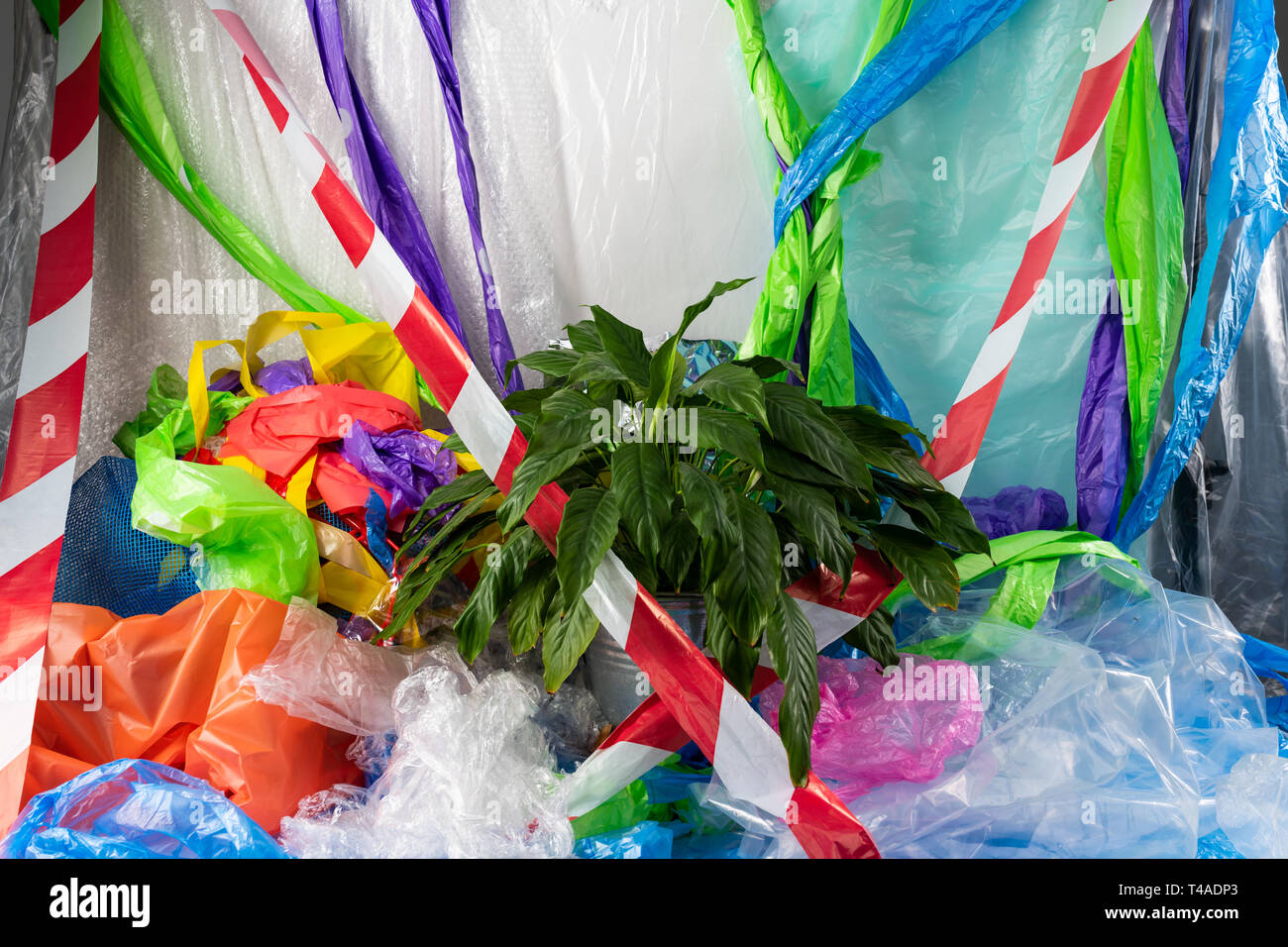 Fresco verde lussureggiante impianto posizionato nel mezzo di immondizia di plastica Foto Stock