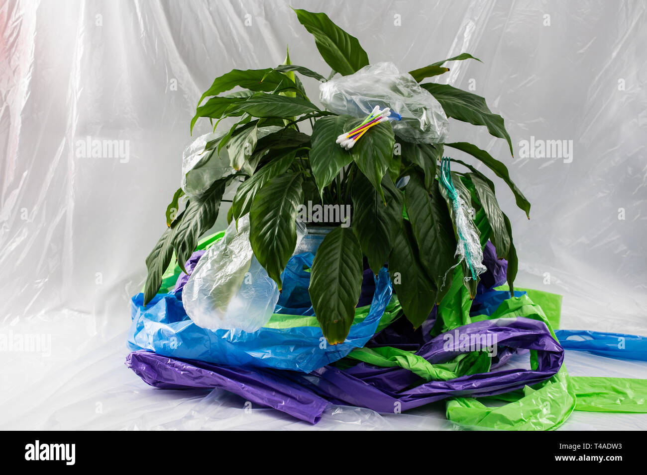 Bella e verde pianta sana essendo circondata con i prodotti in plastica Foto Stock