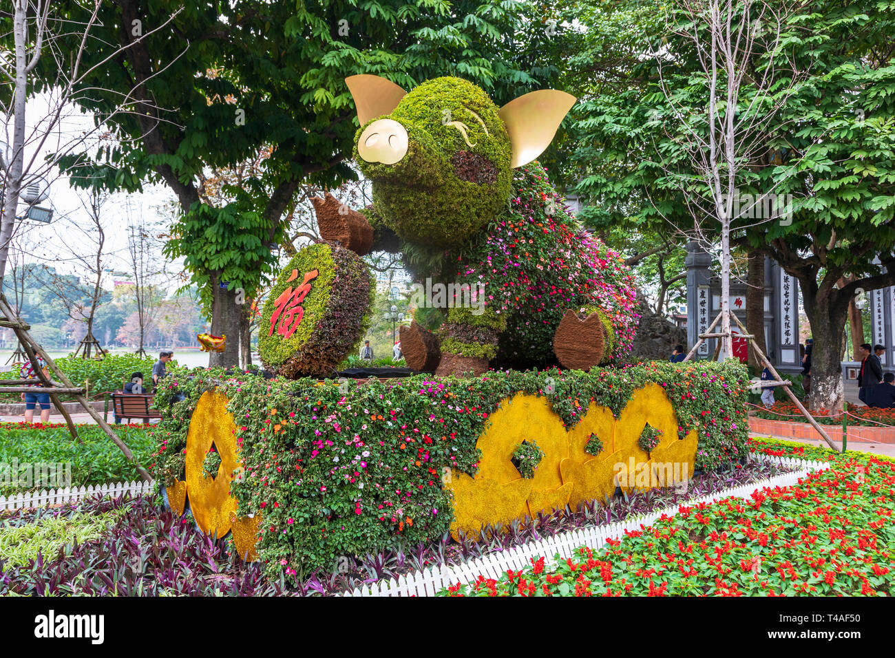 Statua di un suino come giardino decorazione per celebrare l anno del maiale in vietnamita Anno nuovo, il vecchio quartiere di Hanoi, Vietnam Asia Foto Stock