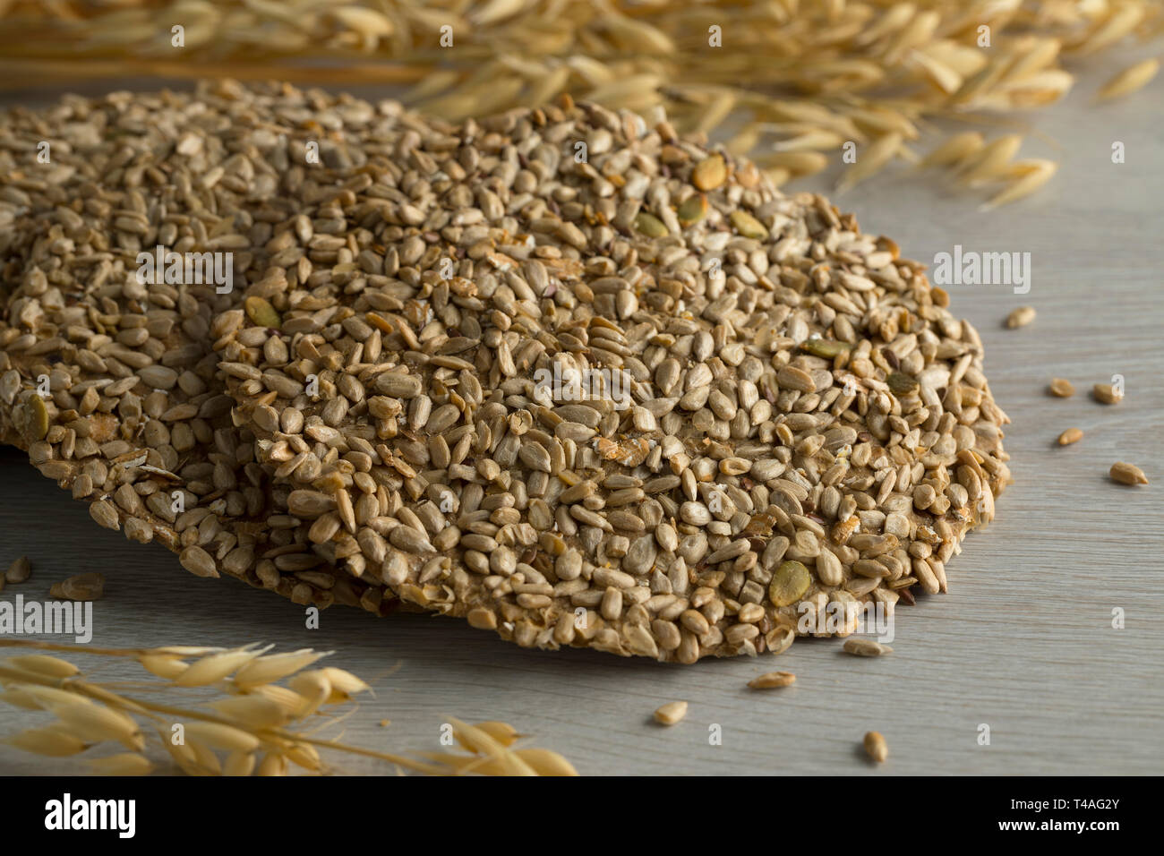 Freschi di forno in casa croccanti crackers di avena close up e orecchie di avena in background Foto Stock
