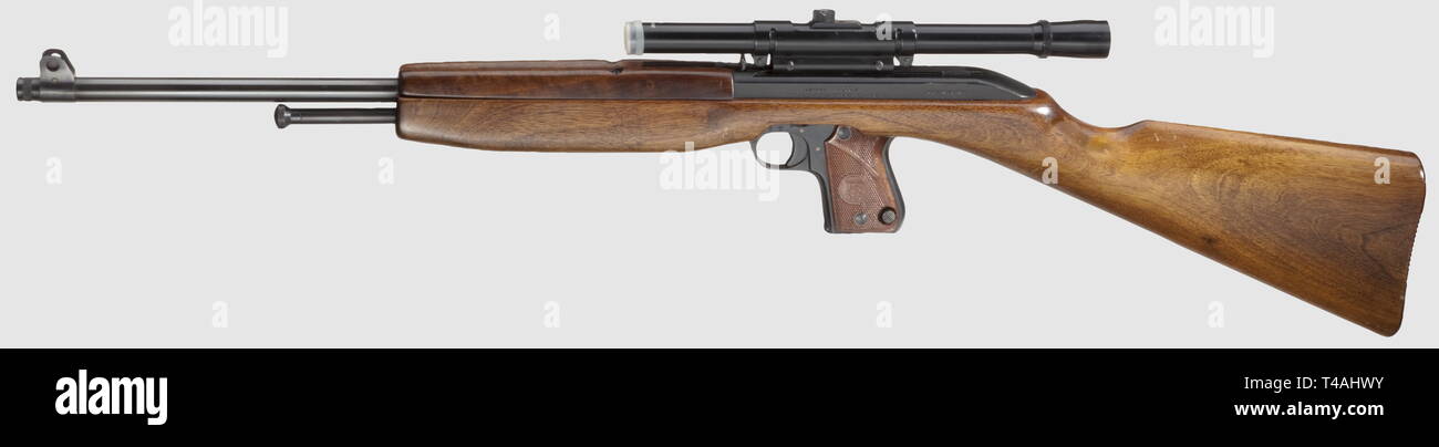 Civile bracci lungo, sistemi moderni, unica pistola carabina Combo, calibro 22 lr, numero 626785, Additional-Rights-Clearance-Info-Not-Available Foto Stock