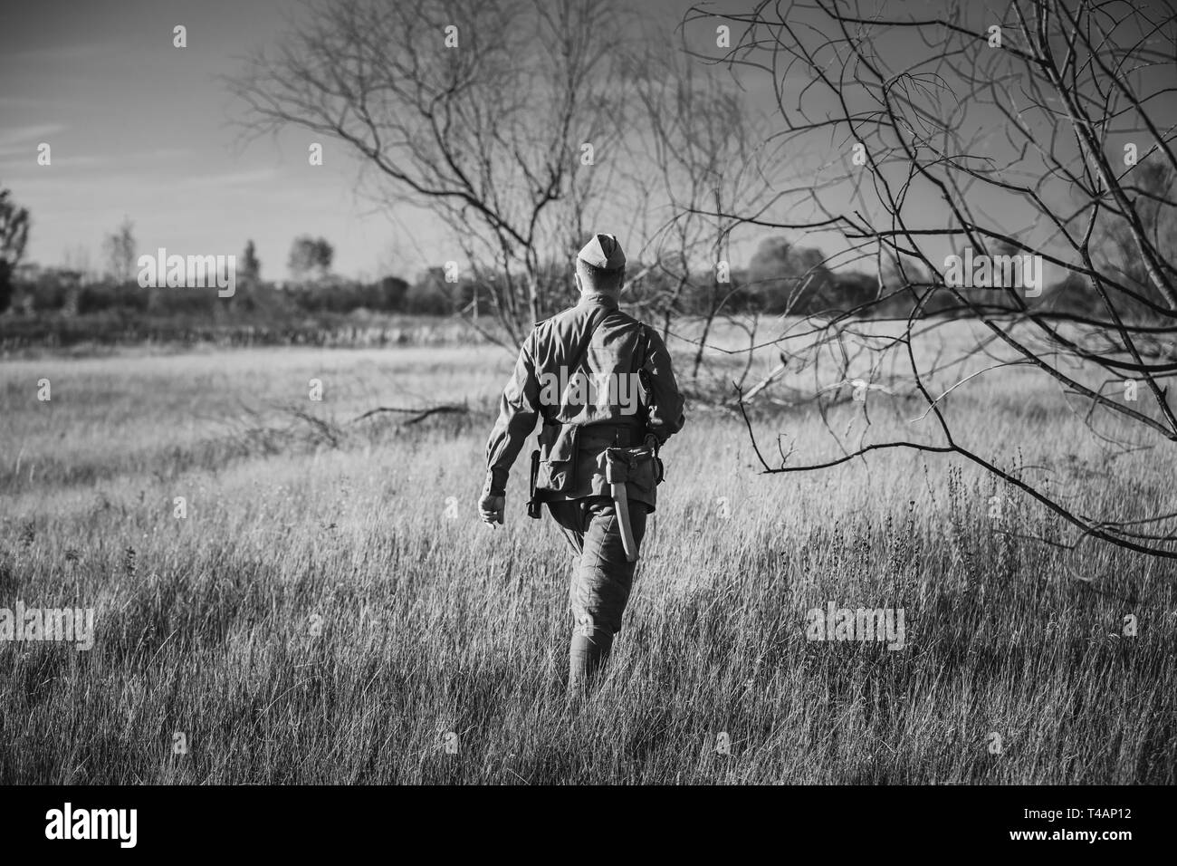 Ri-enactor vestita come la II Guerra Mondiale Soviet russo Esercito Rosso Officer soldato camminando attraverso il prato in autunno. Foto in bianco e nero e a colori. Soldier Of Foto Stock