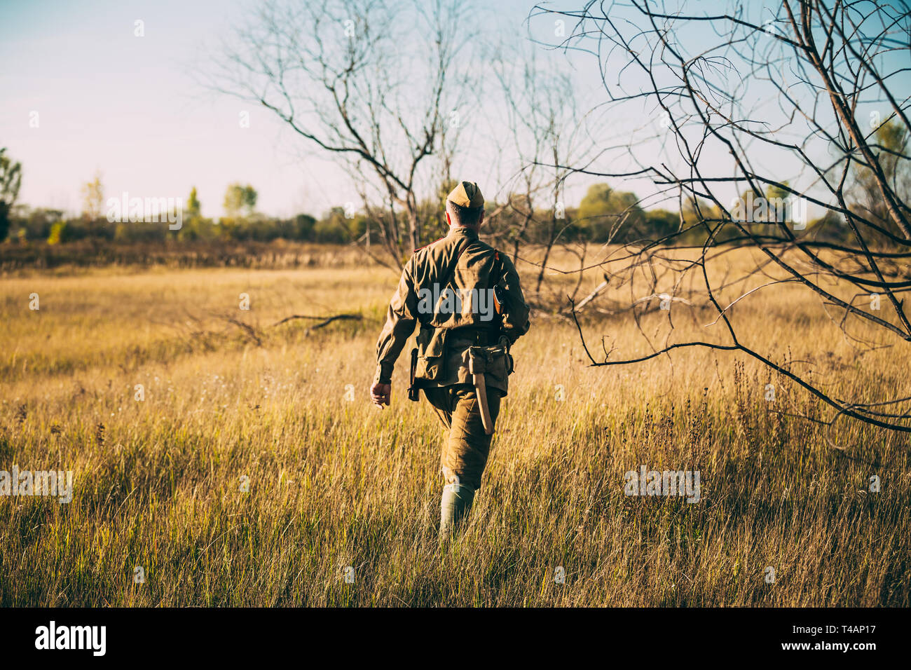 Ri-enactor vestita come la II Guerra Mondiale Soviet russo Esercito Rosso Officer soldato camminando attraverso il prato in autunno. Soldier of WWII WW2 volte. Foto Stock