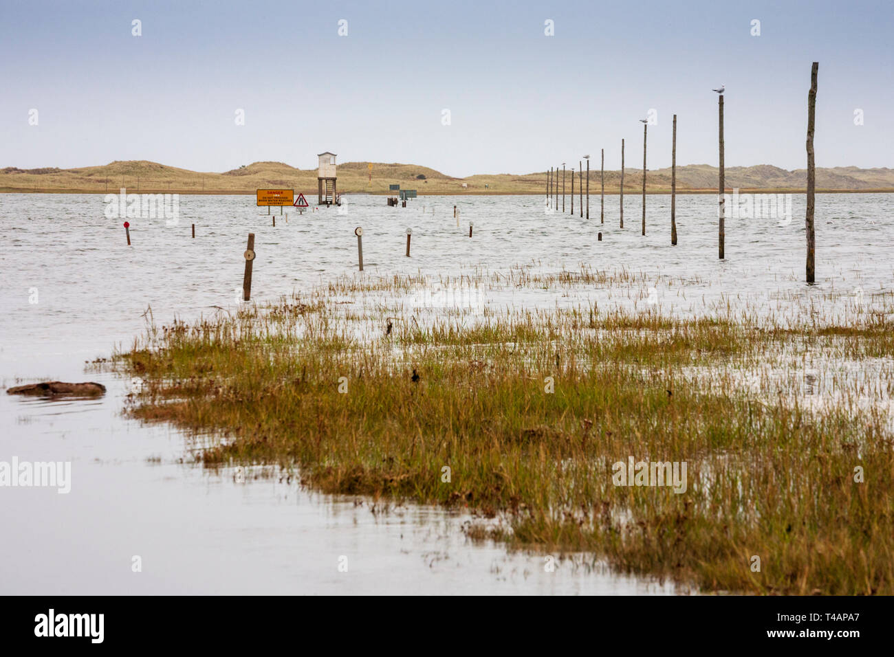 La strada alberata sull'isola di Lindisfarne con il box Emergency Refuge, Northumberland, Inghilterra Foto Stock