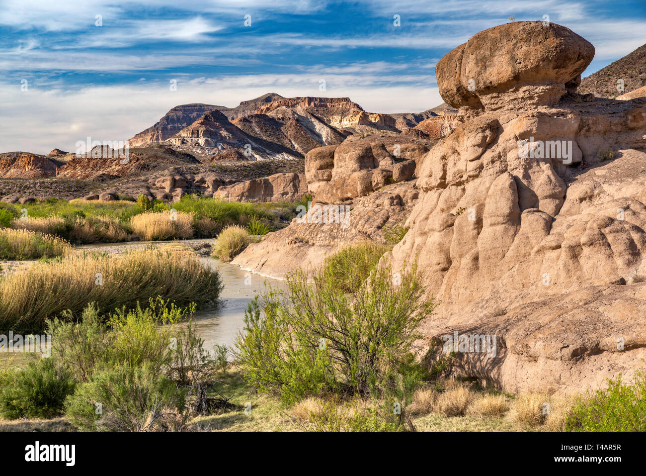 Le formazioni rocciose a Hoodoos Trail, River Road, tre Dike Hill, Cerro de las Burras, Rio Grande in distanza, Big Bend Ranch State Park, Texas, Stati Uniti d'America Foto Stock