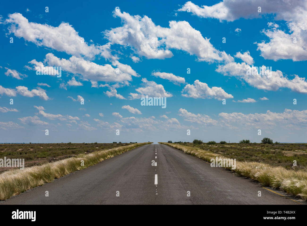 Immagine vibrante della strada nel deserto e blu cielo nuvoloso Foto Stock