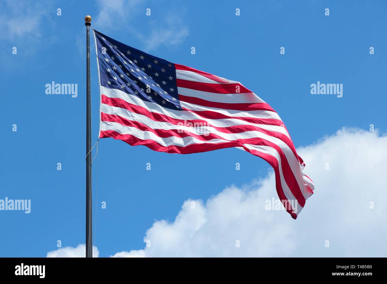 Bandiera degli Stati Uniti, stella lamas banner. Foto Stock