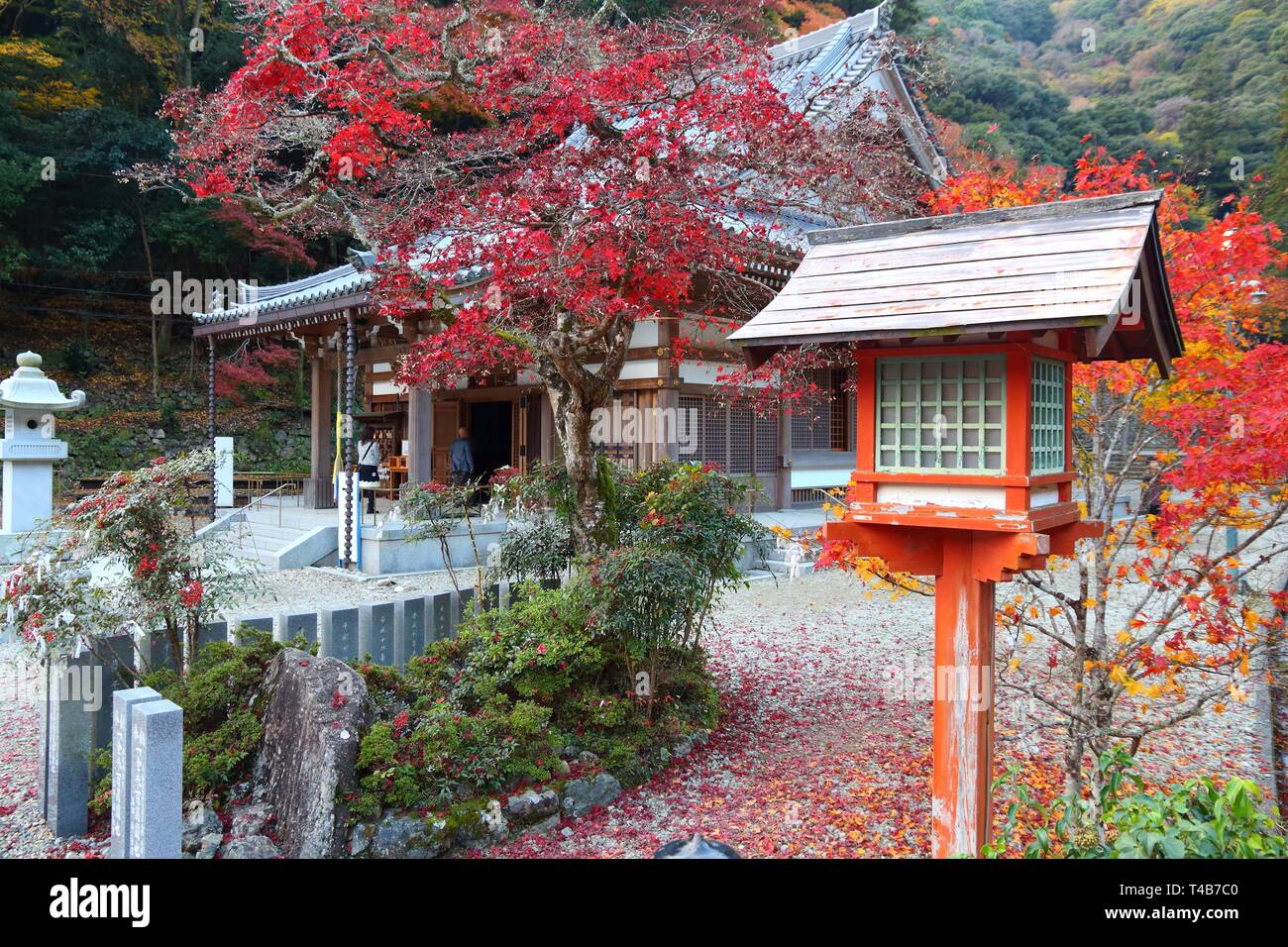 Tempio di Minoo Quasi-National parco vicino Osaka, Giappone. Foto Stock