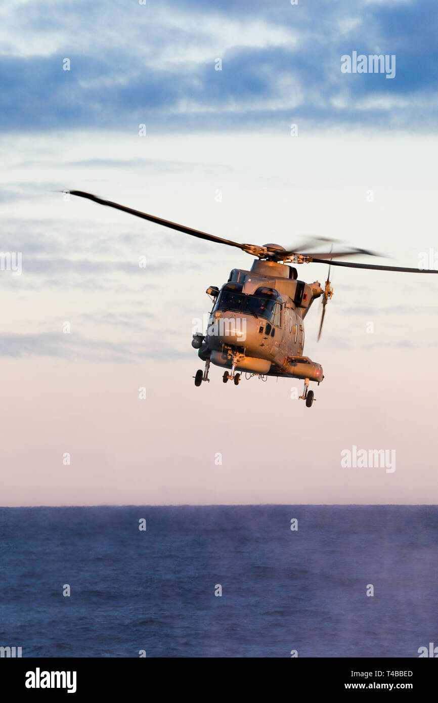 Merlin HM2 anti sommergibile elicottero della Royal Navy azionato da 814 Naval Air Squadron Foto Stock