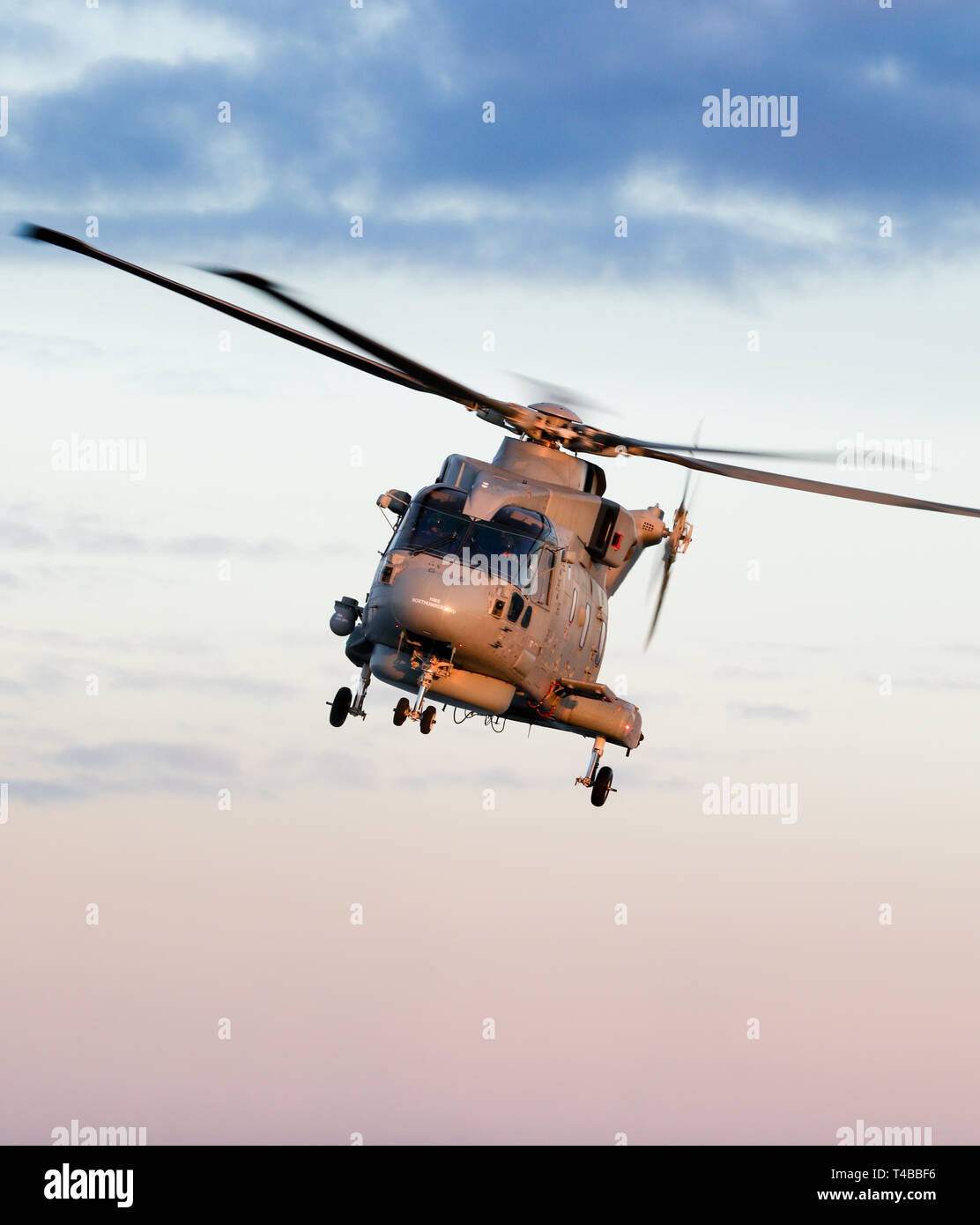 Merlin HM2 anti sommergibile elicottero della Royal Navy azionato da 814 Naval Air Squadron Foto Stock