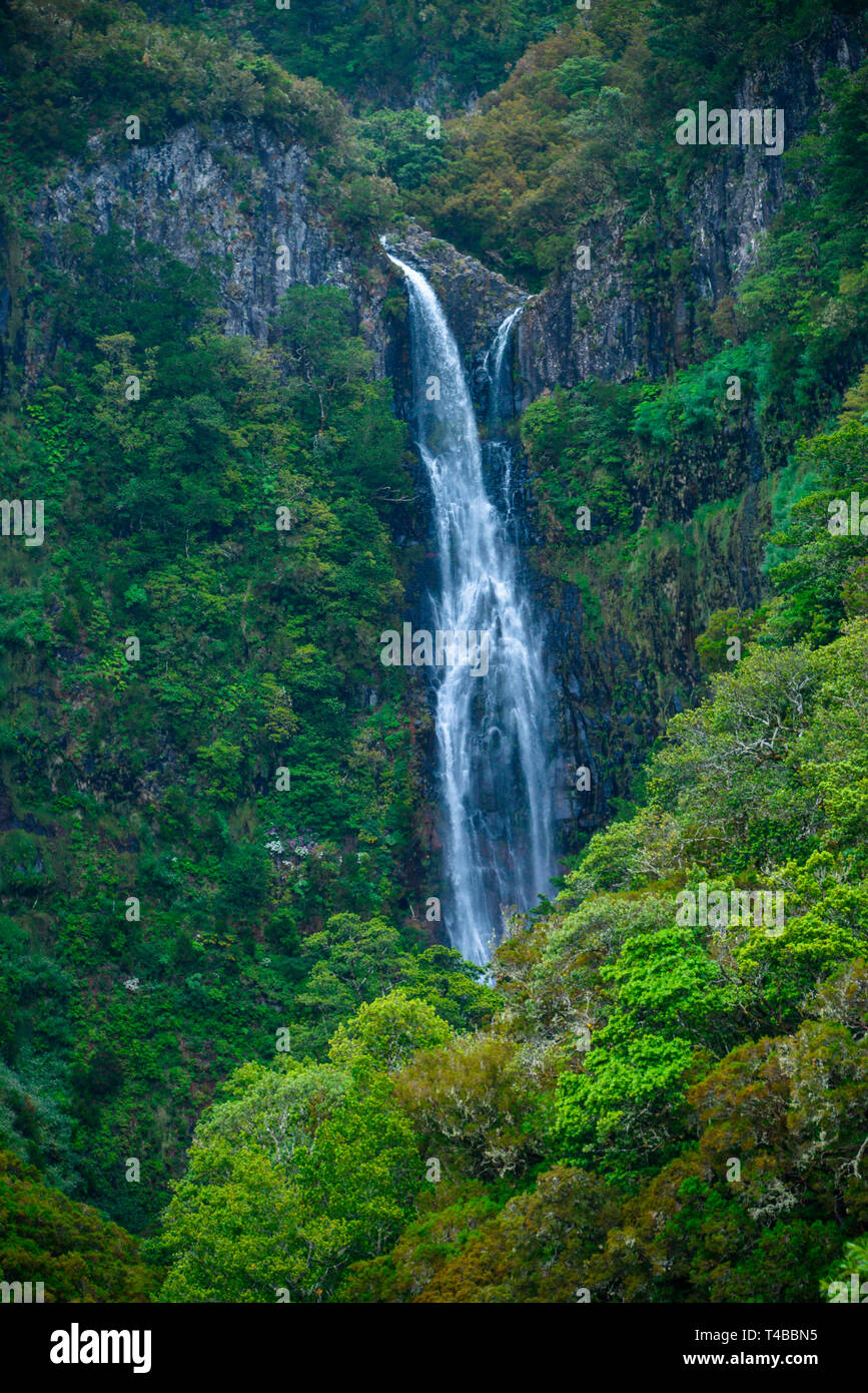 Risco Wasserfall, Rabacal-Tal, Zentralgebirge, Madeira, Portogallo Foto Stock