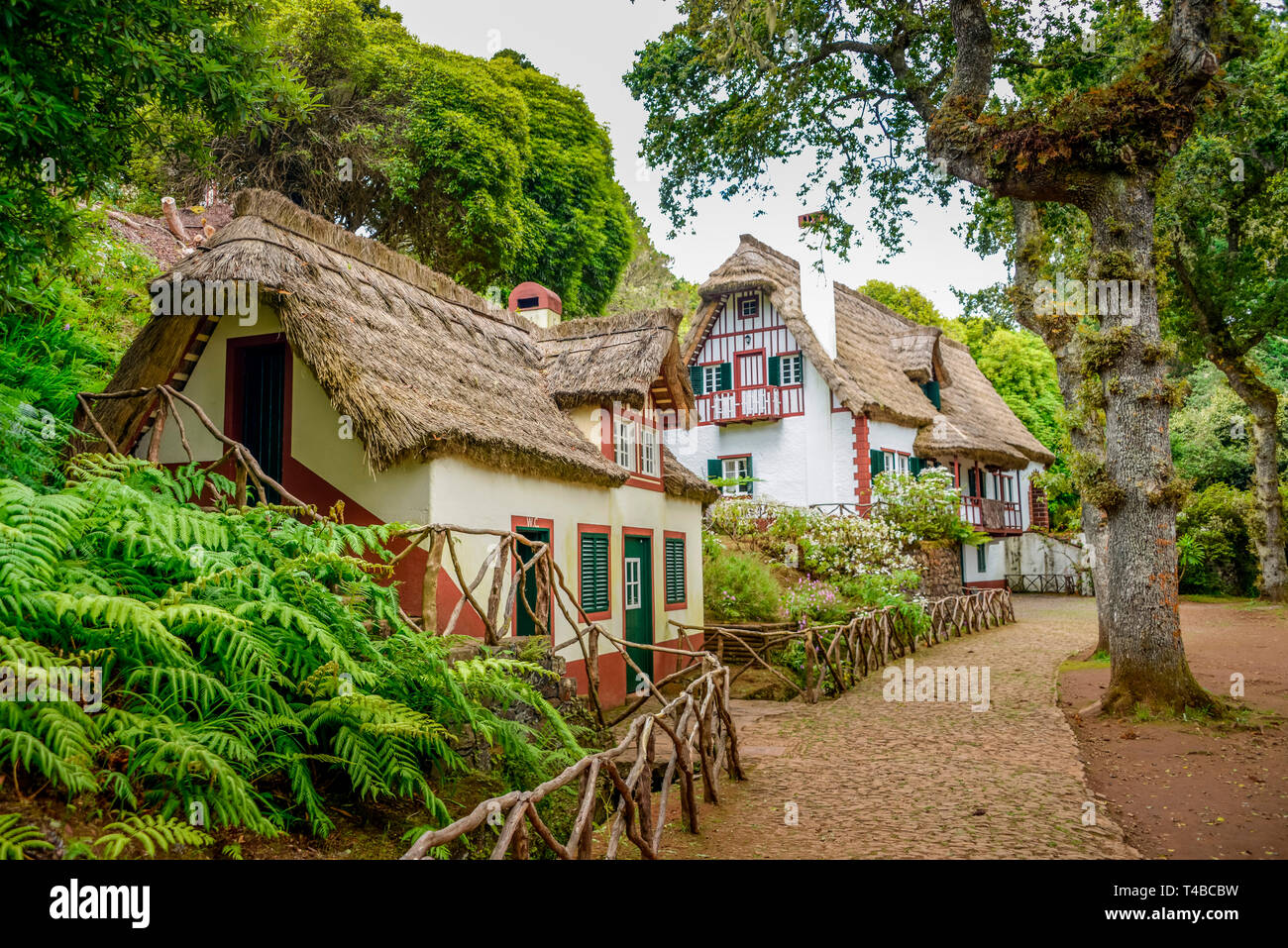 Forsthaus, Queimadas, Zentralgebirge, Madeira, Portogallo Foto Stock