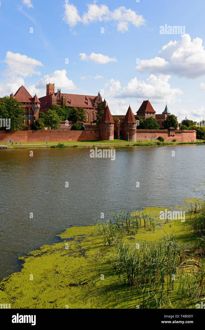 Castello di Malbork, Fiume Nogat, Pommerania, Polonia Foto Stock