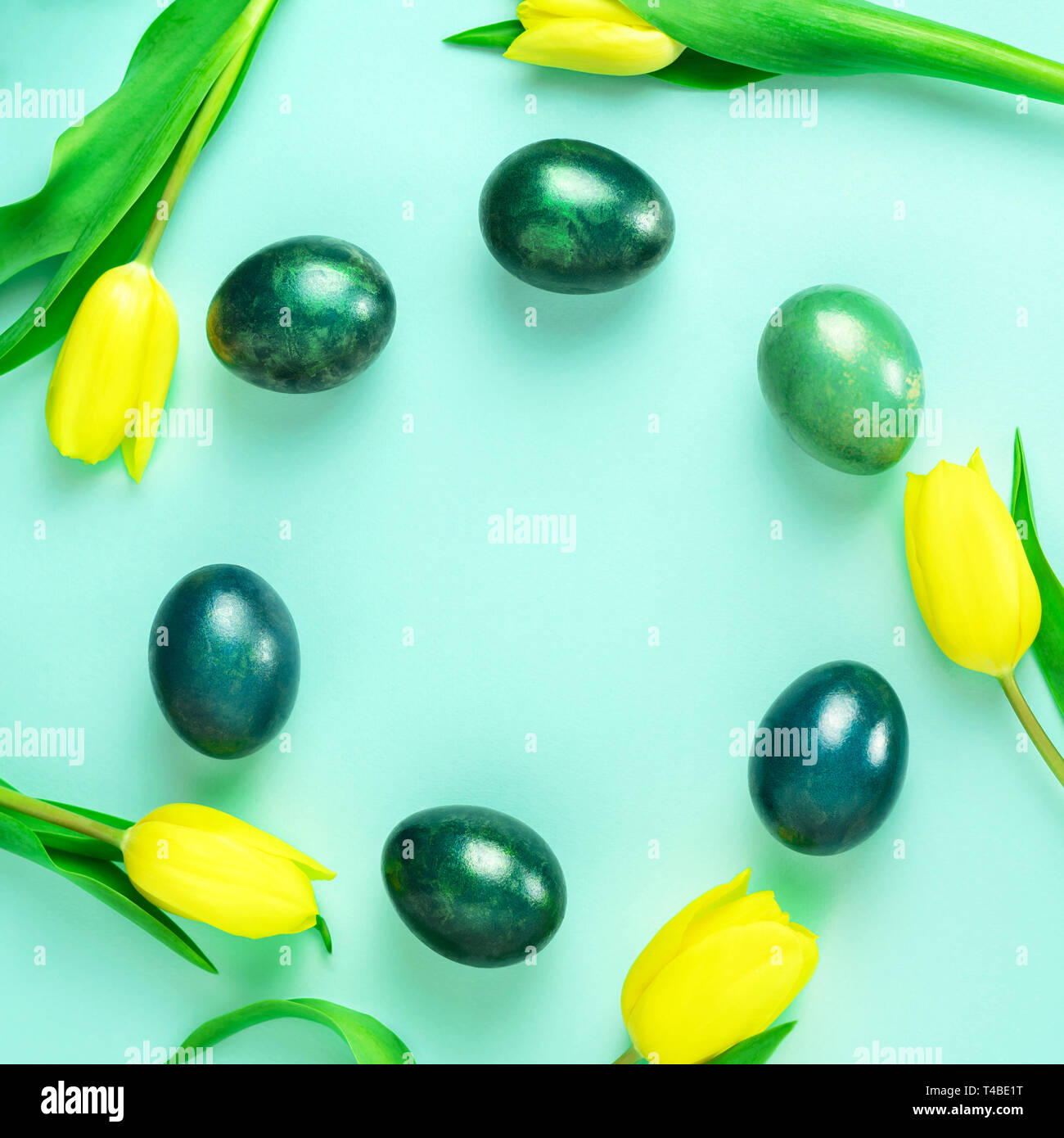 Il concetto della molla con le uova di Pasqua e tulipani gialli in cerchio su turchese sfondo blu. Lay piatto. Foto Stock