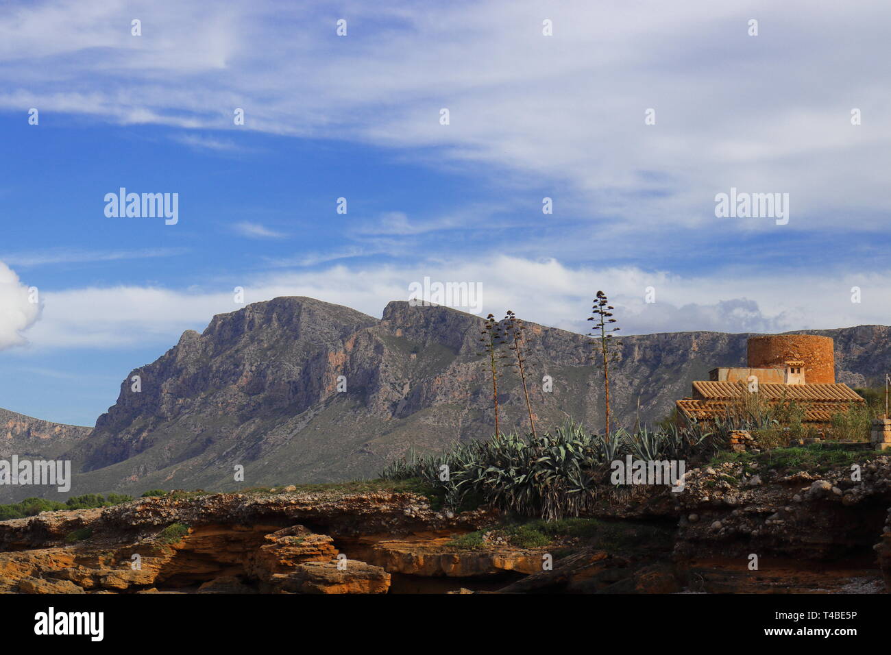 Alberi e cactus accanto a un edificio su rocce con colline e cielo blu, Colonia de Sant Pere, Mallorca, Spagna. Foto Stock