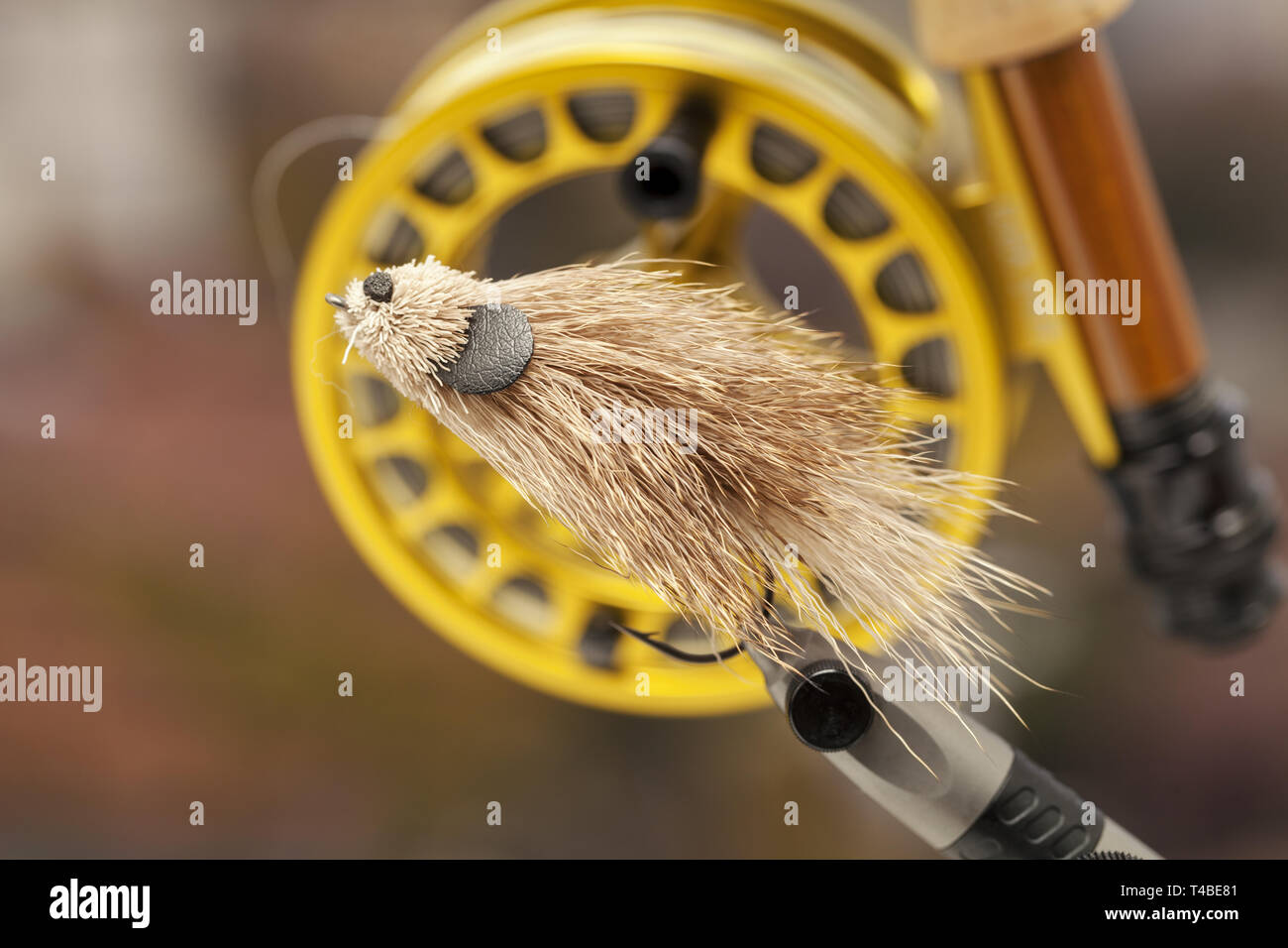 Fly fishinig, Costruzione mosche ganci close up Foto Stock