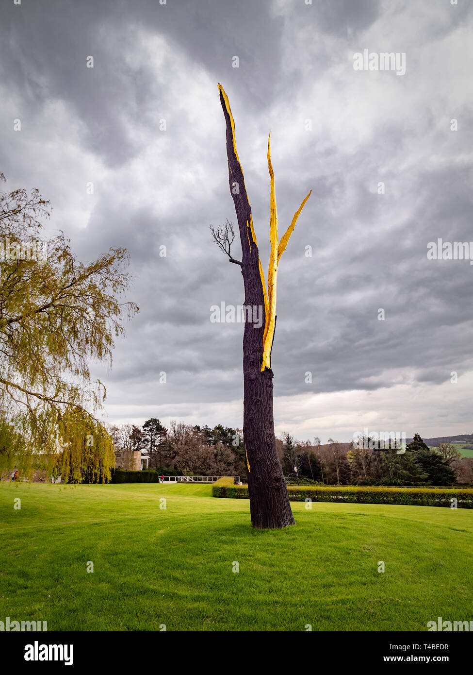 Albero folgorato, bronzo un cast di un fulmine- colpito tree, con esposti interno foderato con foglia oro. Scultura di Giuseppe Penone Foto Stock