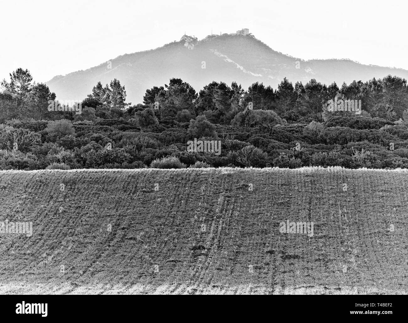 Santuari de Sant Salvador (Felanitx) visto da porreres, foschia mattutina a sunrise con alberi e campi, Mallorca, Spagna. Foto Stock