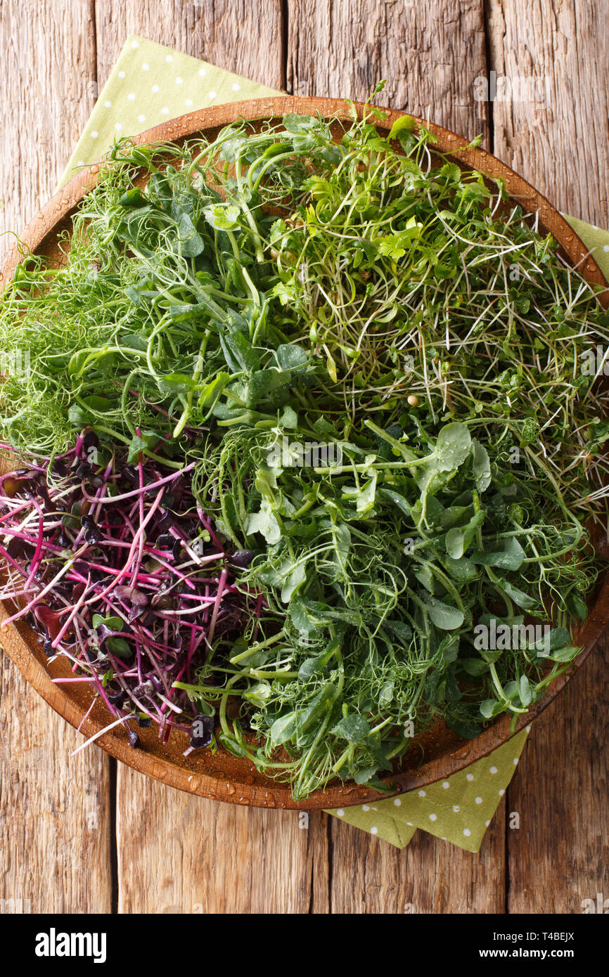 Vitamina microgreen dietetico di piselli, il coriandolo, la senape, radicchio rosso di close-up su una piastra su un tavolo in legno.Verticale in alto vista da sopra Foto Stock
