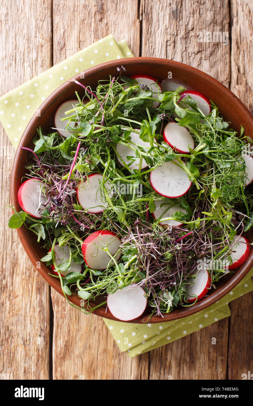 Alimenti biologici insalata di rafano con micro mix verde close-up in una ciotola sul tavolo. Verticale in alto vista da sopra Foto Stock