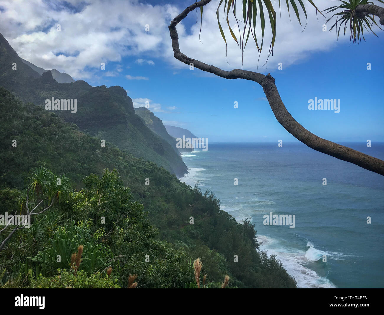 Bella Costa Napali sull'isola hawaiana di Kauai visto da Kalalau Sentiero escursionistico Foto Stock