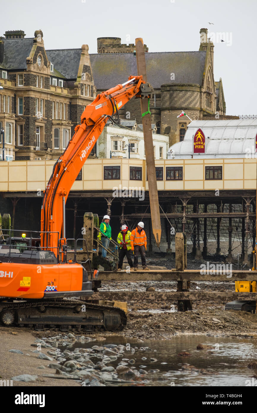 I contraenti dal Afan Engineering al lavoro con la bassa marea di riparazione e di rinnovamento del worm pesantemente danneggiato dal pontile in legno sul molo di Aberystwyth North Beach. Wales UK. Il 23 marzo 2019 Foto Stock