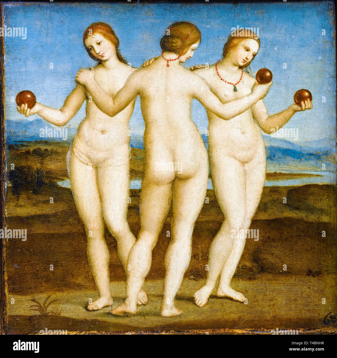 Raffaello, le tre grazie, pittura rinascimentale, circa 1503 Foto Stock
