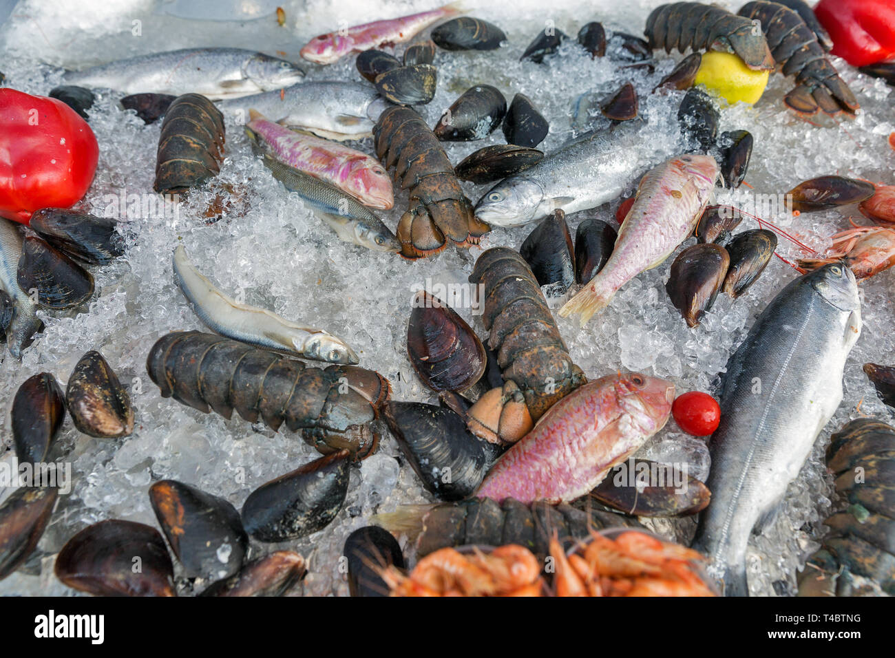 Vari piatti a base di frutti di mare freschi sul ghiaccio tritato closeup sfondo Foto Stock