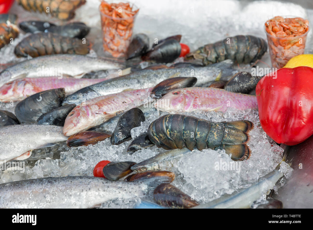 Vari piatti a base di frutti di mare freschi sul ghiaccio tritato closeup sfondo Foto Stock