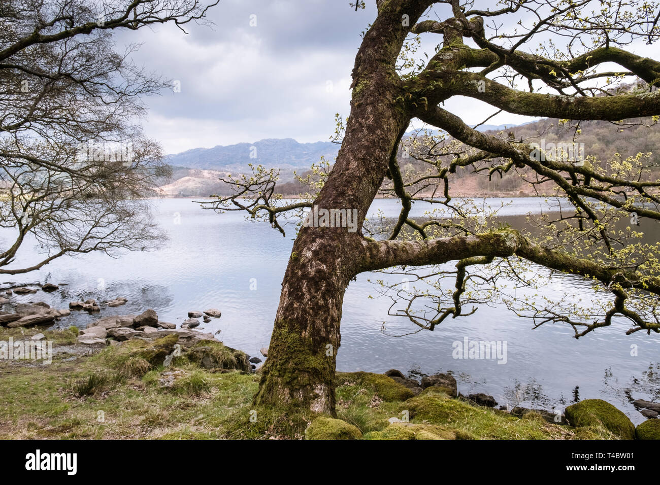 Vista panoramica del Llyn Dinas, un lago nel Parco Nazionale di Snowdonia, Gwynedd, Galles, aprile 2019. Foto Stock