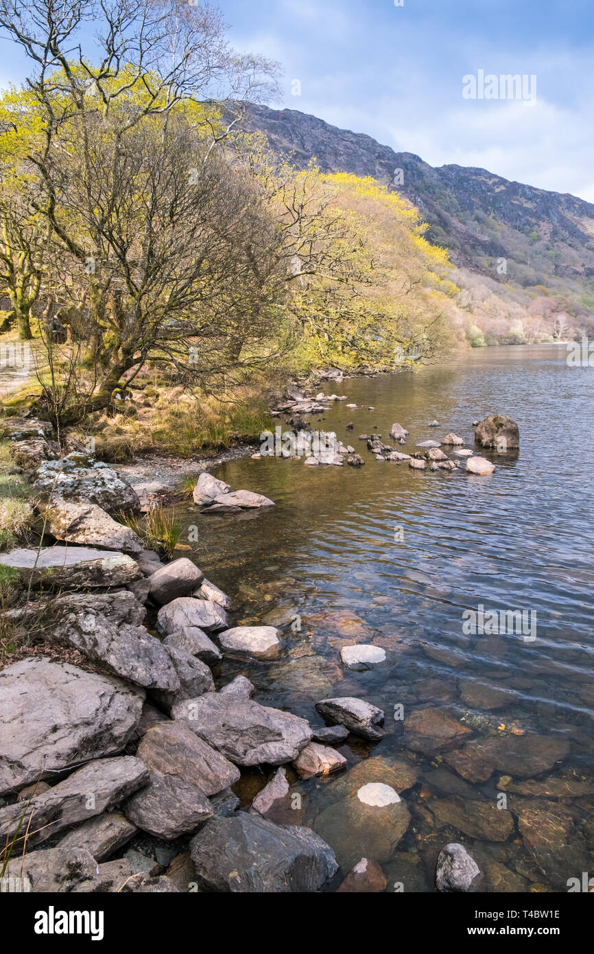 Vista panoramica del Llyn Dinas, un lago nel Parco Nazionale di Snowdonia, Gwynedd, Galles, aprile 2019. Foto Stock