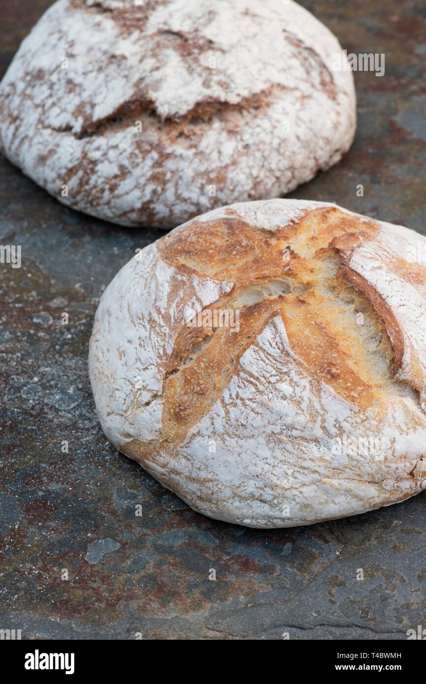 Bianco pane di pasta acida e il farro e segale Sourdough sull'ardesia Foto Stock