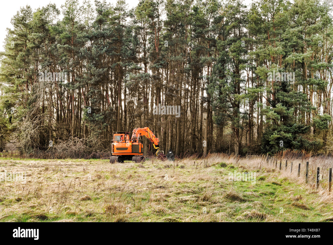 Macchina trebbiatrice facendo lavori forestali a Loch Leven, Scozia Foto Stock
