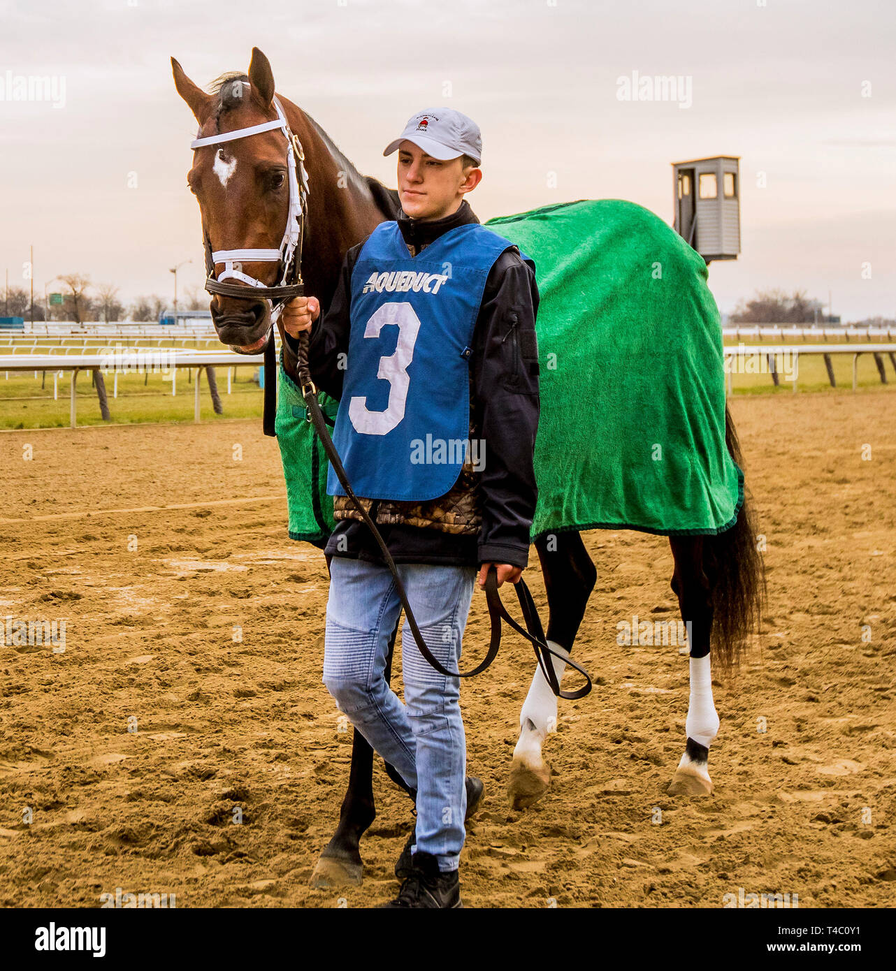Ozone Park, NY, STATI UNITI D'AMERICA. 1 dicembre, 2018. Dicembre 01, 2018 : #3, Bourbon Guerra in Remsen Stakes di acquedotto Racetrack sul dicembre 24, 2018 in Ozone Park, NY. Luisa Rossi Kawczynski/ESW/CSM/Alamy Live News Foto Stock