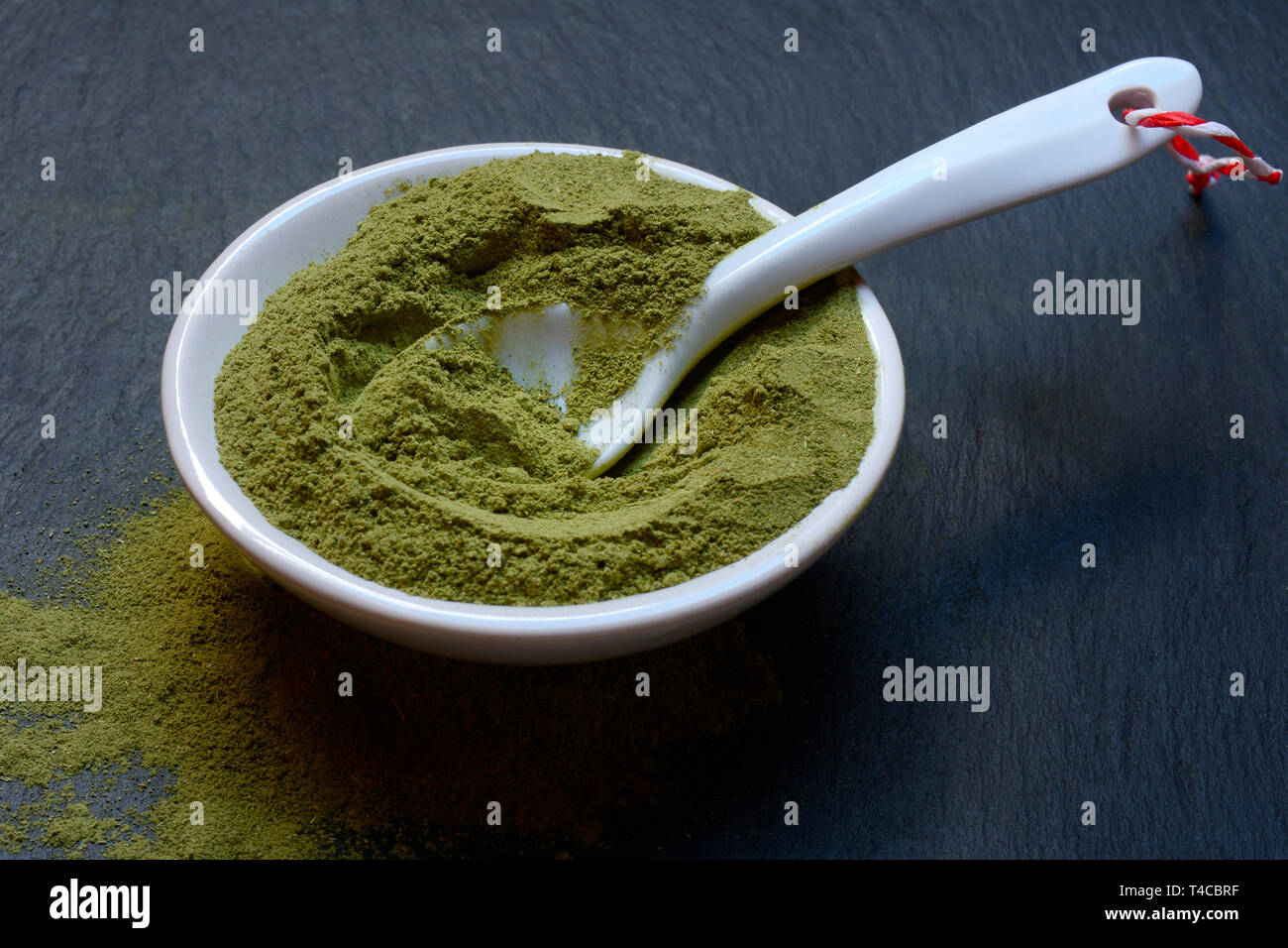 Moringa, Moringa-Pulver in Schale, Moringapulver, Moringa Oleifera Foto Stock