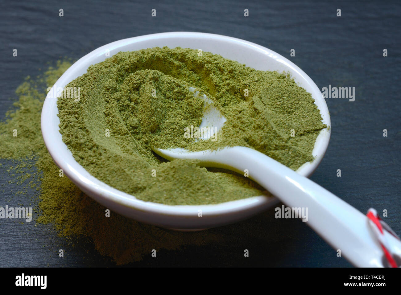 Moringa, Moringa-Pulver in Schale, Moringapulver, Moringa Oleifera Foto Stock