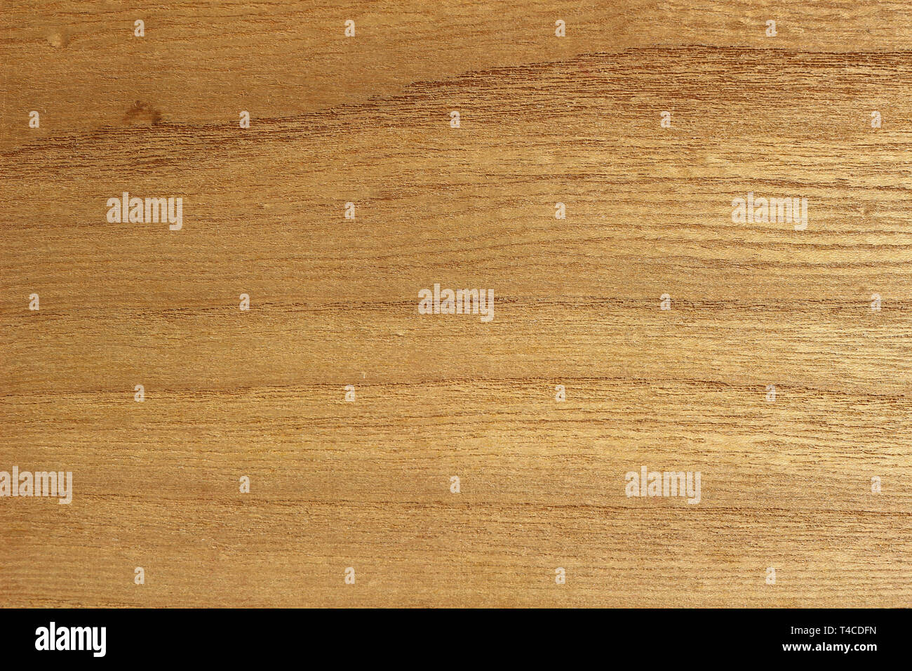 Close up di legno chiaro texture. Foto Stock