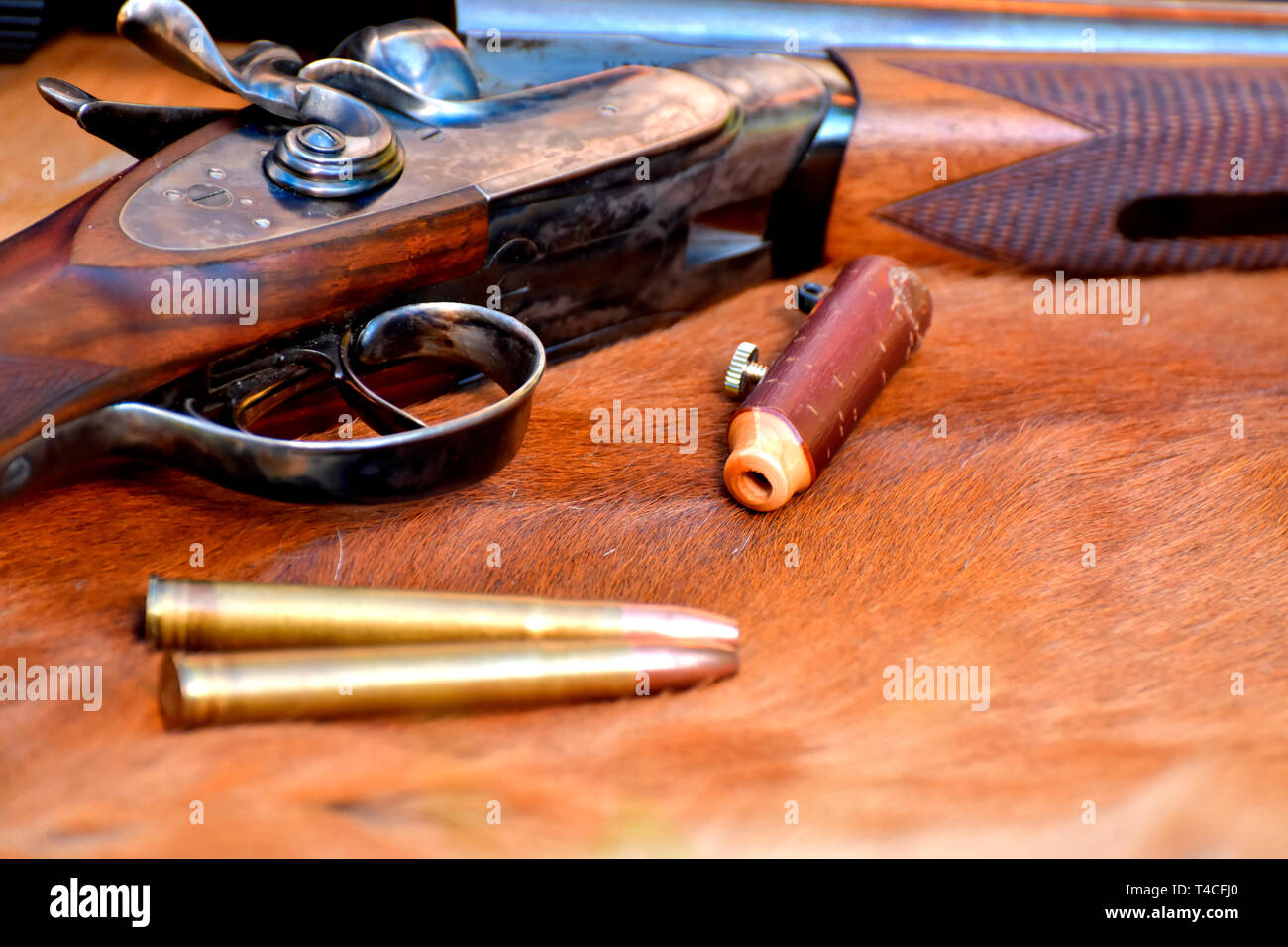 Fucile da caccia, doeskin, Germania, fucile, fucile da caccia, cartuccia, cartriges Foto Stock