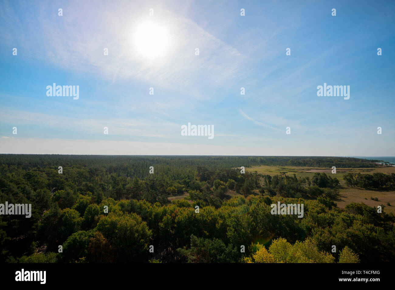 Vista dal faro Darsser Ort, la Pomerania occidentale Area Laguna National Park, Fischland-Darss-Zingst, Meclemburgo-Pomerania Occidentale, Germania, Europa Foto Stock