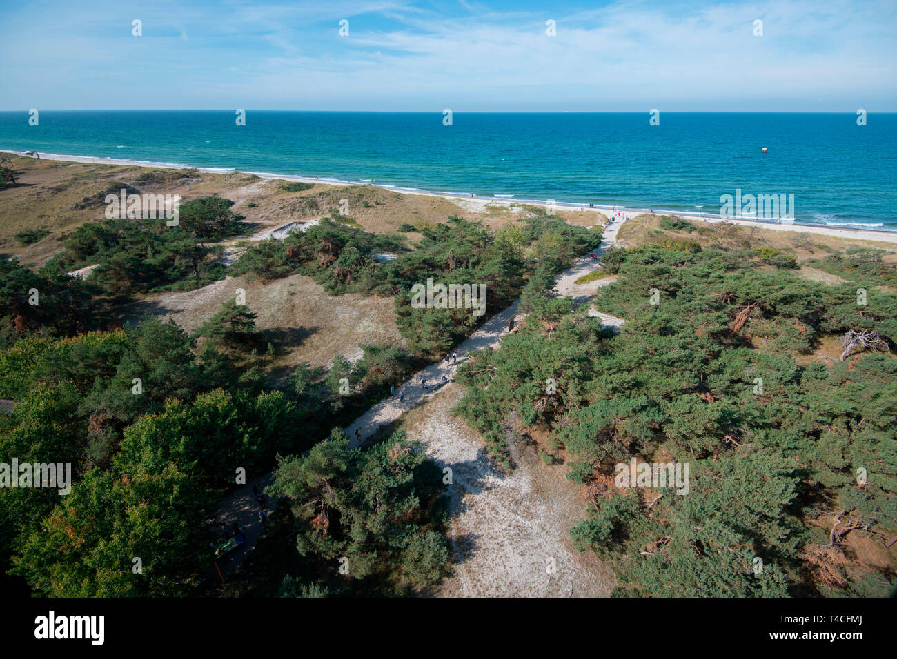Vista dal faro Darsser Ort, la Pomerania occidentale Area Laguna National Park, Fischland-Darss-Zingst, Meclemburgo-Pomerania Occidentale, Germania, Europa Foto Stock