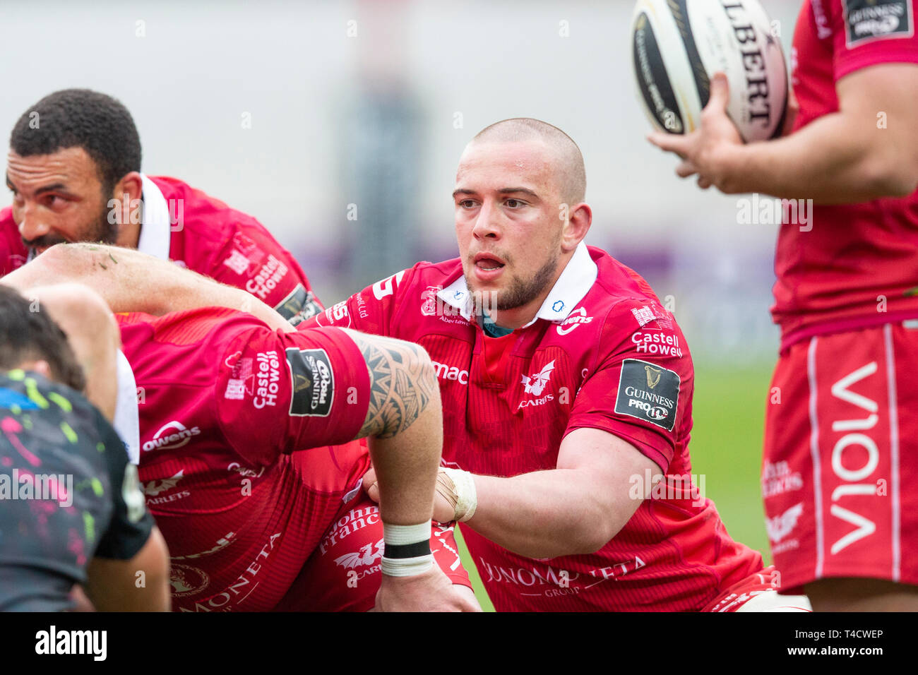 Il flanker Scarlets Boyde si prepara al pack giù nella sua ultima partita al Parc y Scarlets per la Scarlets. Foto Stock